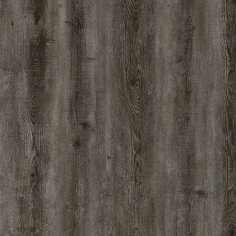 SPC ламинат Alta Step Gandeza Дуб королевский