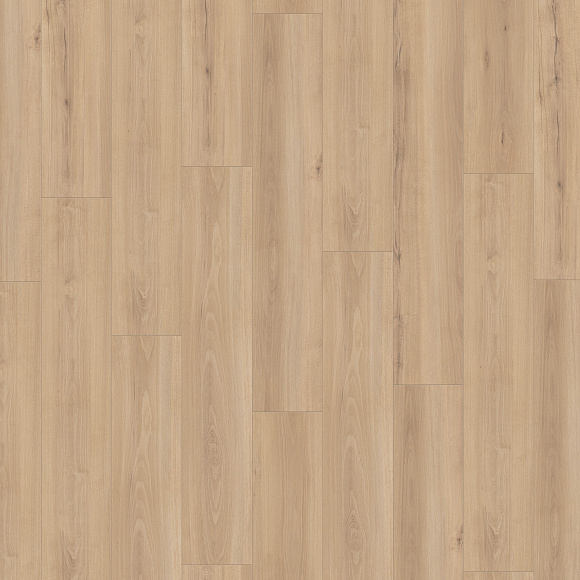 Ламинат Kronotex Exquisit Plus Бук натуральный D 80912