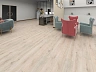 SPC ламинат Floorwood Unit Дуб Лирика