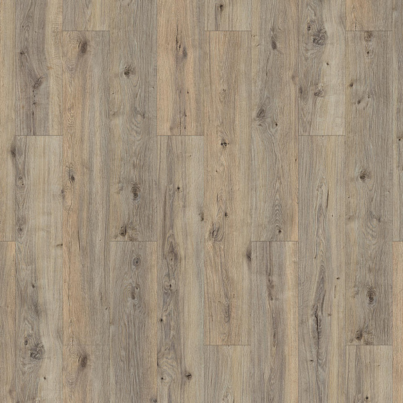 Ламинат Tarkett Holiday Дуб Фрайдэй