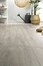 Ламинат Alsafloor Solid Plus Дуб Лен