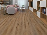 SPC ламинат Floorwood Unit Дуб Кедди