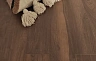 Ламинат Floor Fort Орех Стенфорд