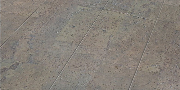 Пробковый пол замковый CorkArt Narrow Plank 186w CZ B 900×190×11