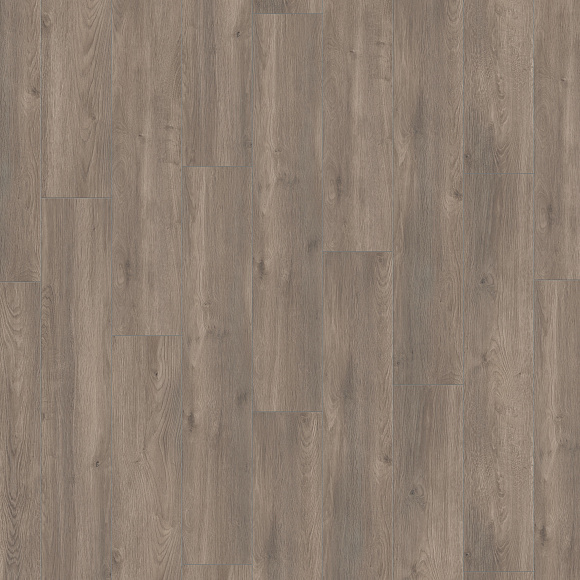 Ламинат Kronotex Exquisit Plus Дуб Эльба серебряный D 6013