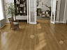 Кварцвиниловый WPC ламинат Alpine Floor Дуб Эталон ECO 24-3