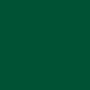 Краска Hygge цвет NCS S 5540-G Fleurs 0.4 л Краска Hygge цвет NCS S 5540-G Fleurs 0.4 л