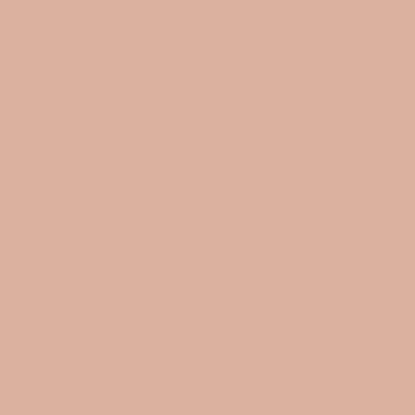 Краска Swiss Lake цвет Dusty Coral SL-1569 Wall Comfort 7 0.4 л Краска Swiss Lake цвет Dusty Coral SL-1569 Wall Comfort 7 0.4 л