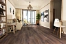 Каменный ламинат SPC ART STONE 125 ASP, Ясень Гека, 1220x183x6 мм