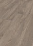 Ламинат Kronotex Exquisit Plus Дуб Эльба серебряный D 6013