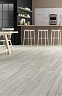 Ламинат Alsafloor Solid Plus Платон