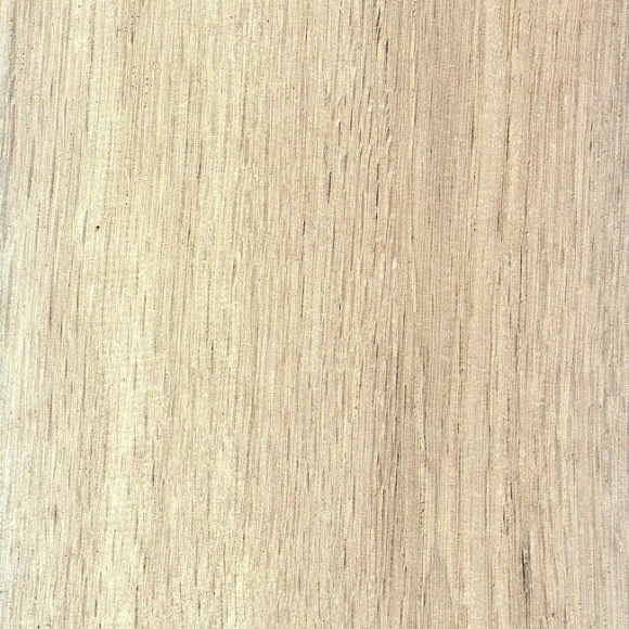 Пробковый пол Ibercork Напольная Ibrecork HD печать Робле Эладо Пробковый пол Ibercork Напольная Ibrecork HD печать Робле Эладо