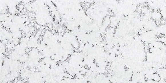 Пробковый пол Ibercork Настенная EasyCork Сафра