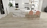 SPC ламинат Floorwood Genesis Дуб Риневар