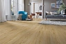 Ламинат Kronotex Exquisit Plus Дуб Барселона D 4692