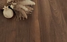 Ламинат Floor Fort Орех Стенфорд