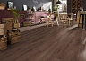 Ламинат Kronotex Exquisit Дуб Мистраль D89652