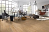 Ламинат Kronotex Robusto Grand Oak D 4954