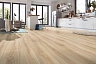 Ламинат Kronotex Exquisit Plus Village Oak D 4164