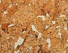 Пробковый пол Ibercork Настенная IberCork Лерида карамель