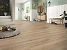 Ламинат Kronotex Exquisit Plus Бук натуральный D 80912
