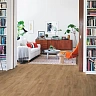 Виниловый пол Pergo Modern Plank Optimum Click Дуб Горный Темный