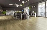 Виниловый пол Home Expert Nature Дуб Волшебный лес