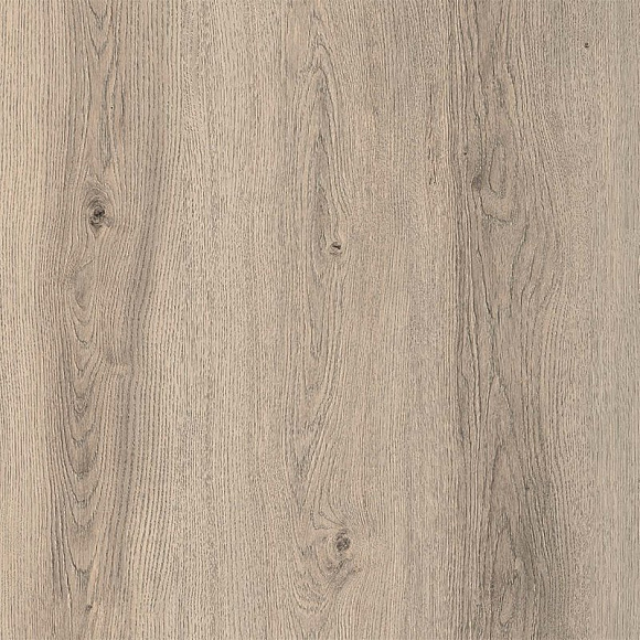 Ламинат Kastamonu Floorpan Orange Дуб жемчужный