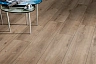 Ламинат Kronotex Exquisit Plus Дуб Кашмир титан D 6020