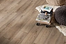 Ламинат Kronotex Exquisit Plus Дуб Кашмир титан D 6020