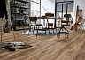 Ламинат Kronotex Exquisit Клен Каньон D 6007
