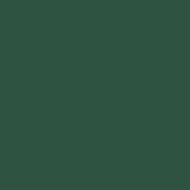 Краска Hygge цвет RAL Pine green 6028 Fleurs 0.4 л Краска Hygge цвет RAL Pine green 6028 Fleurs 0.4 л
