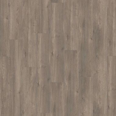 Ламинат Kronotex Exquisit Plus Дуб Эльба серебряный D 6013 Ламинат Kronotex Exquisit Plus Дуб Эльба серебряный D 6013