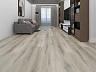 SPC ламинат Floorwood Unit Дуб Эриус