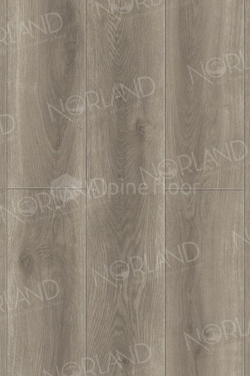 SPC ламинат Norland NeoWood Templet