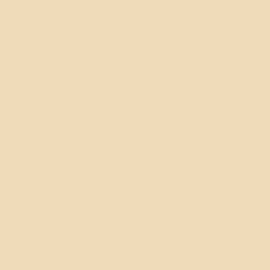 Краска Swiss Lake цвет Honey Beige SL-0926 Intense resistance plus 0.4 л