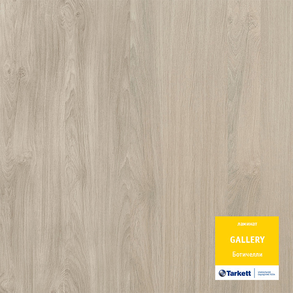 Ламинат Tarkett Gallery Ботичелли Ламинат Tarkett Gallery Ботичелли
