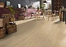 Ламинат Kronotex Exquisit Лиственница Берлин D 80932
