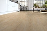 Ламинат Kronotex Exquisit Plus Дуб Мадрид D 4694