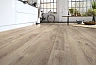 Ламинат Kronotex Exquisit Дуб бежевый Петерсcон D 4763