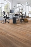Ламинат Kronotex Exquisit Stirling Oak medium D 2805