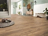 Ламинат Kronotex Exquisit Plus Дуб Натуральный Петерсcон D 4764