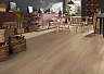 Ламинат Kronotex Exquisit Дуб Мистраль бежевый D89682