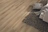 Ламинат Kronotex Exquisit Plus Бук натуральный D 80912