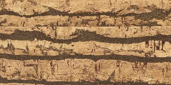 Пробковый пол Ibercork Напольная Ibercork Тахо Пробковый пол Ibercork Напольная Ibercork Тахо