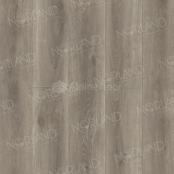SPC ламинат Norland NeoWood Templet