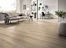 Ламинат Kronotex Exquisit Plus Village Oak D 4164